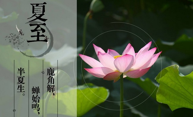 夏至糖尿病